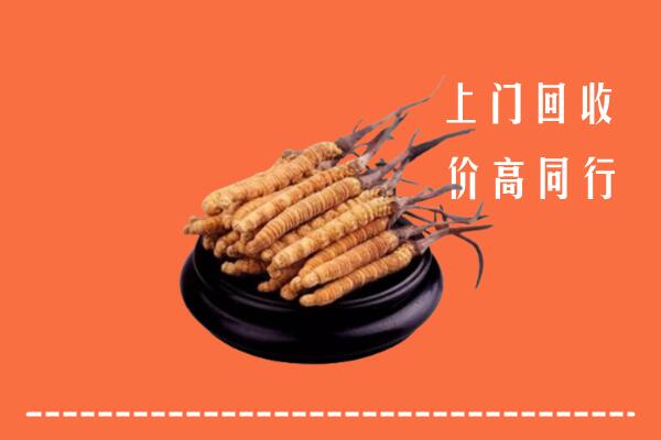 高价求购：碾子山区回收散虫草