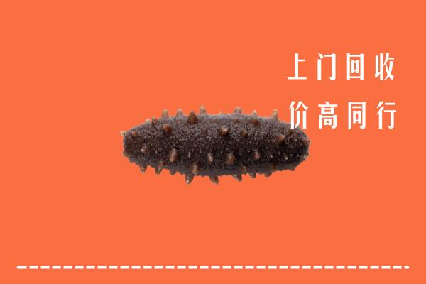 高价求购：碾子山区回收海参