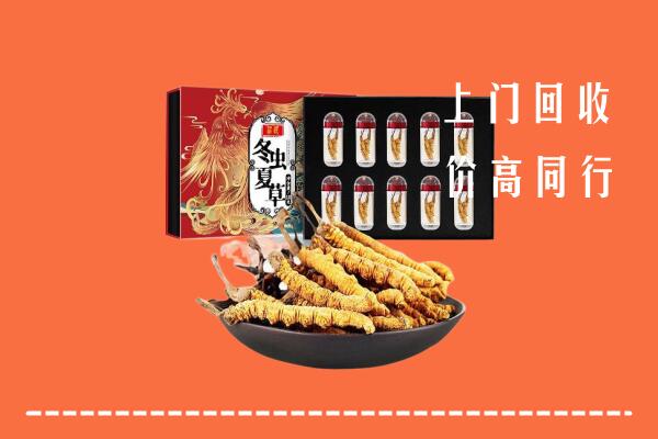 碾子山区回收虫草